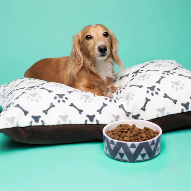 Beige Floral "HOME" Dog Bed